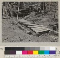 Along new logging railroad of Dolbeer & Carson Lumber Company, North Fork of Elk River, Humboldt County, California. Culvert built of material left on ground by early loggers about 1884. Still sound. May 31, 1934. E. F