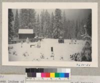 Whitaker's Forest west from Redwood Cabin. Fifteen inches of snow. 11/21/51