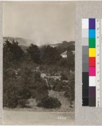 Grass fire in the Berkeley hills at 3:28 P.M., June 14, 1928. H.E.M