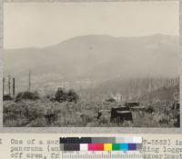 One of a series of 17 views (#5546-5563) in panorama (entire 360 degrees) of surrounding logged-off area, from stump #1046 on University of California experimental area of 1928-1930 in NW 1/4 NE 1/4 Sec. 1 T2S, R2E. Photo at noon in bright sun. 7-7-32, E.F