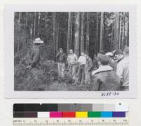 The Junior Logging Conference at Mendocino Woodlands April 1953 visits the redwood thinning plot at Jackson State Forest and listened to a description of the experimental work by George Rau in charge of the forest. Oldest trees are about 70 years but plot contains about four age classes of sprouts