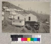 Logging camp, Union Lumber Company, Smith Creek, showing difficulty of construction in steep country. 1923
