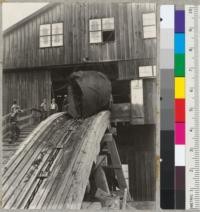 Redwood Region. Log scaling 5500 ft. entering Rockport Redwood Company sawmill. Rockport, California. Log was eccentric and at large end measured 6 1/2 ft. x 9 1/2 ft. and 20 ft. long. Average diameter at small end 76 inches. Center was 2 ft. from one side and 7 1/2 ft. from the opposite. 8-8-39. E.F