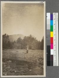 Hardwood and Yellow Pine along Meadow Valley Creek at crossing of trail to Summer Camp, Spanish Peak in background. Mrs. Metcalf and baby in pack sack