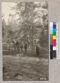 Santa Cruz troop of Boy Scouts lowering the flag on breaking camp, Scotts Valley. W. Metcalf, May 1923