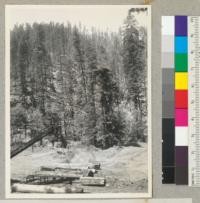 Redwood Region. Selective logging by Pacific Lumber Company on north slope of Jordan Creek, Humboldt County, near Scotia. Looking across the Jordan Creek canyon--lower end and over railroad landing. Slash not yet burned. 7.17.42. E.F