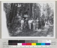 Left to right: Cecil Metcalf, Ray Clar, Woodbridge Metcalf, Hickle, Jacobson, William Pennington at dedication exercises at the Merritt B. Pratt sequoia tree. Whitaker's Forest, Tulare County. July 14, 1946