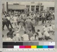 Camp Califorest. Tug-of-war contest on Main St. in Quincy, California, 4th of July celebration. Foresters to right. Lost contest. July 4, 1939. Emanuel Fritz