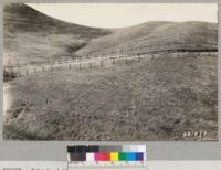 Tehachapi Flood Area. September 1932. The slopes along Caliente Creek near Woodford indicate much less intensity of rainfall in this section. Lowdermilk