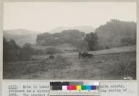 Site in lower Wildcat canyon, Contra Costa county, proposed as a nursery for WPA development during spring of 1936. The project did not materialize. Metcalf - 1936