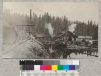 Mill, Madera Sugar Pine Company at Sugar Pine, California. Shows unloading rig on boom for sinkers. 5.211