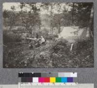 River drivers camp on East Branch of Penobscot River, Maine