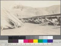 Sorting table and lumber trucks. Albion Lumber Company, Albion, California. May, 1920. E. F