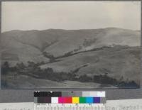 View from the top of the ridge in the Berkeley Hills east of Richmond, looking east along the valley of Wildcat Canyon. Pictures taken from same place as the two showing eucalyptus grove to the west of this point