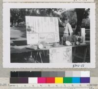 4-H Club Convention, Davis. Set-up for Demonstration on How Trees Grow by Kraebel and Metcalf. Metcalf. Sept. 1953