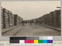 Forestry 112 class inspecting railroad tie storage yard. Southern Pacific Railroad, Oakland. Nov. 1925. E.F