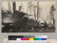 Redwood Utilization Study. Tree #299, log #4. Showing how a split burns out larger. From log 4 to log 6 is waste. E. Fritz, September 1929
