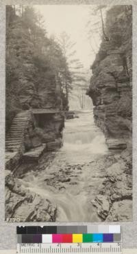 Cleft in rock at Enfield Glen State Park near Ithaca, N. Y. Note right angle fracture of the rock and white pine crown in background