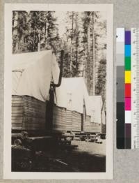Logging camp, Pan Handle Lumber Company, Idaho