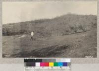 Result of fire in a brush field on Doolittle Ranch, Mendocino County. W. Metcalf - Oct. 1931