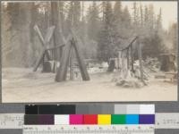 Drying lumber. Haun's Saw Mill. Near Branscomb, Mendocino County, California. May, 1920. E. F