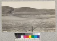 Sheet erosion in bean fields along the Coast in Santa Barbara County, March, 1930. Great loss of soil fertility