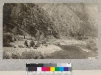 Canyon of the Merced River below Bloss Station on the railway. For several miles below El Portal the slopes are covered with a fine growth of Western Yellow Pine, Canyon Live Oak, Black Oak and Digger Pine. All that is needed here is adequate fire protection to preserve the present growth of trees