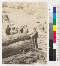 Fourth Redwood Logging Conference. Monument Creek, Pacific Lumber Company, Scotia, California at Landing #6. 5-10-40. E. F