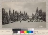 Snow scene - Whitaker's Forest. W. Metcalf. November 15, 1931