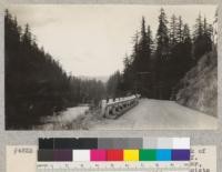 Redwood Region. Old growth along S. Fork of Eel River near Weott, Humboldt County, California. Note that many trees, especially in center, are spike-topped. The Highway fence consists of 8x8 split redwood posts and stringers or guard rails of laminated Douglas fir - 3 pieces of 2x8. E. Fritz, June 1929