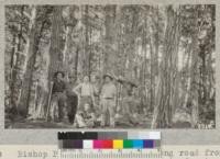 Bishop Pine on good bench along road from Inverness to top of ridge, Marin County, November, 1925. Kellett, Metcalf, Murphy, Flynn, Collins, Thede, and Wright. Metcalf, 25