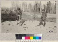 J.P. Wentling of the Minnesota Forest School demonstrates at the Itasca Nursery the detachable step on planting spade to R. Zon, Director of the Lake States Forest Experiment Station