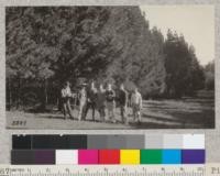Silviculture class beside the Monterey Pine Plantation in Siesta Valley, November, 1924. McLeod, Graham, Hansen, Bower, Rutherford, McDuff, Hall