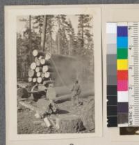 Loading logs - Davies Box and Lumber Company. Tahoe National Forest