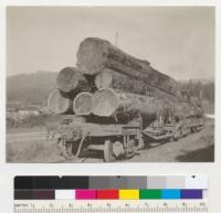 Redwood logs. Holmes-Eureka Lumber Company. Carlotta loading station. Log measurements (top to bottom, left to right): 42" x 40', 28" x 32', 22" x 40', 30" x 40', 28" x 40', 31" x 40'. 2-22-39, E.F