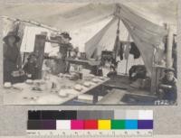 The cook tent, dining table and LeRoy Lamport, cook, Califorest Camp, 1921