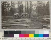 Stave mill on Mont Alto Forest, Pennsylvania. This is a private operation on a leased site buying salvage Chestnut cut from the State Forest. These is also here a student mill run by the college which saws lumber and lath. Chestnut poles are also gotten out in considerable quantity. Extract wood is now worth more than that for staves. This is all slack cooperage, mostly nail, keg bolt and railway spike kegs