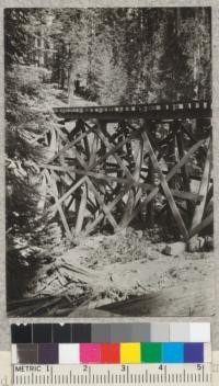 Railroad trestle showing system of bracing. Madera Sugar Pine Company. D. Bruce. '21