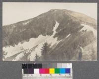 Cliffs below peak of Flatiron Mountain. Stand of young Lyall's Larch 7000' elevation. East side of American Creek, Montana. 1920