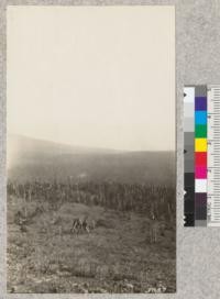 A view from Red Mountain, Washington, over the area damaged by electrical storm of June 26, 1923