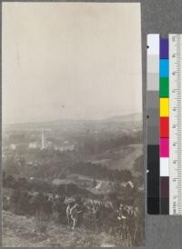 Course 2, fall 1917. Making forest description on the Monterey pine grove, south side of Strawberry Canyon. University of California Campus and Berkeley in the background. Metcalf