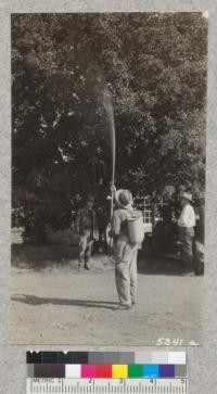 Stream from the pump of the Indian knapsack assembly is valuable in putting out fires in snags. The stream illustrated was dissipated by a strong wind