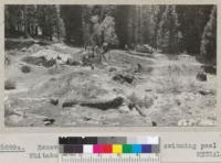 Excavation work by Civilian Conservation Corps men for swimming pool at Whitaker's Forest. May 1935. Metcalf