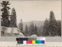 Distant view of Buck Rock lookout from the road to Whitaker's Forest. 1929