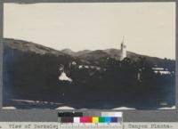 Views of Berkeley Hills and Strawberry Canyon Plantations from the roof of Hilgard Hall, April, 1918. Metcalf