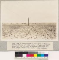 Position of anemometer in the open at Fontana during winter of 1926-1927. It was 330 feet south of the E. & W. windbreak and with no plantings towards the East