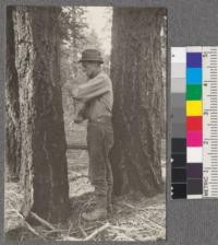 Use of increment borer - Lassen National Forest. 1919