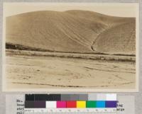 No. 6 - California, Ventura County. Erosion in lima bean region. View of erosion from bean fields showing stripping down to plow sole. Note the man in the large gully, right center of picture. February 23, 1932. W. C. Lowdermilk