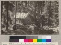 Miner's cabin in north-east corner of section 28, near head of Taylor Gulch. Camp Califorest, 1923