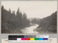 Redwood Region. Looking up the south fork of Eel River, from the State Highway about 5 miles north of Garberville. The picture was taken into strong light. March 1929, E.F